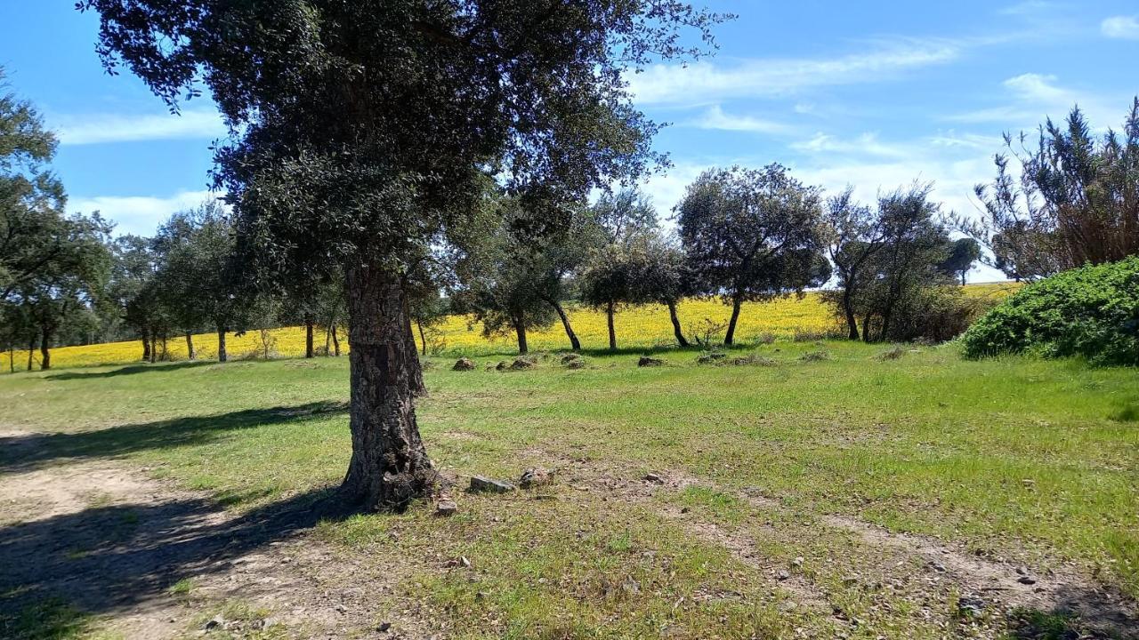 Monte Da Serralheira Agro Turismo Évora Zewnętrze zdjęcie