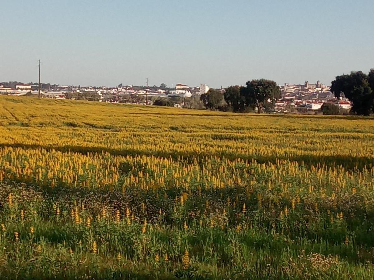 Monte Da Serralheira Agro Turismo Évora Zewnętrze zdjęcie