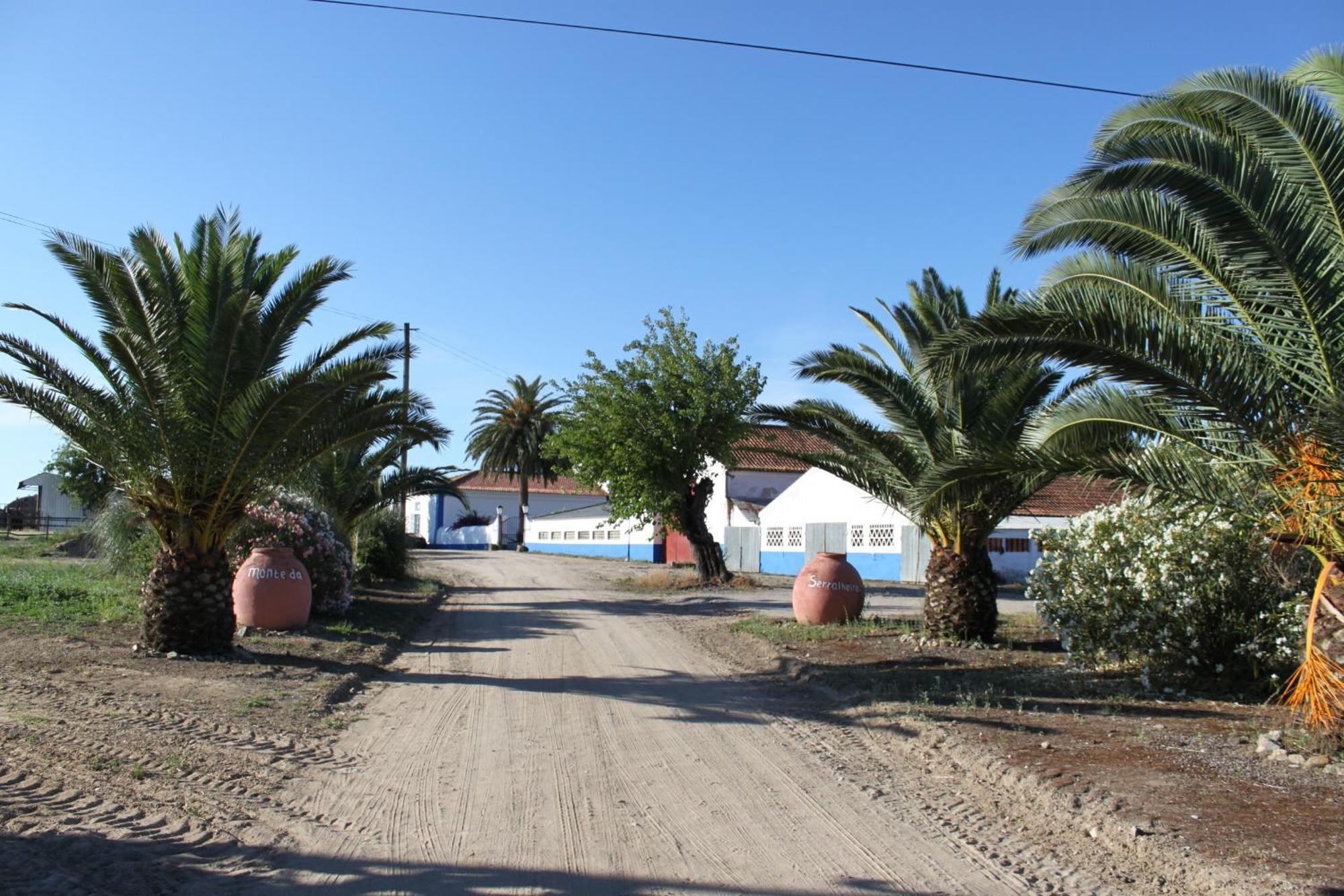 Monte Da Serralheira Agro Turismo Évora Zewnętrze zdjęcie